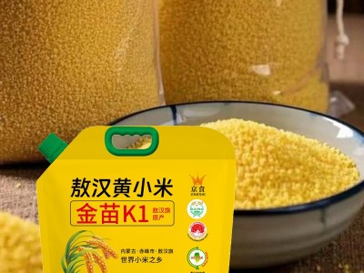 京食金苗K1黄小米2.5kg 内蒙古赤峰敖汉黄小米图2