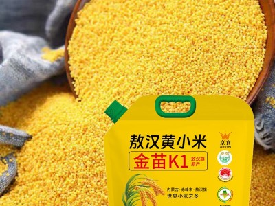 京食金苗K1黄小米2.5kg 内蒙古赤峰敖汉黄小米图4