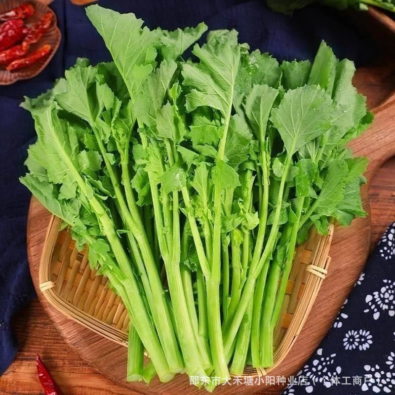 O1CN01VbNh8q1f2EjAmvcon_!!2219665923948-0-cib