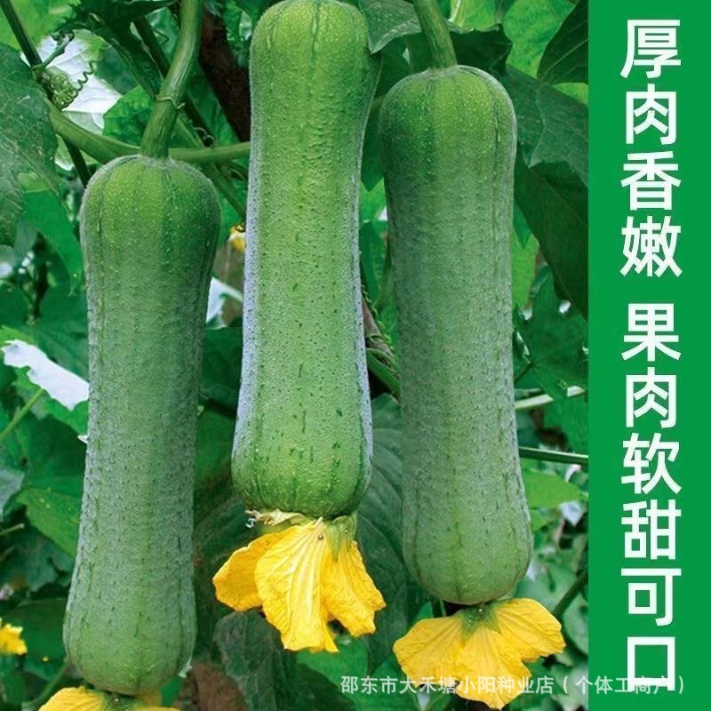 O1CN01jpFNPQ1f2EmYOU8Eb_!!2219665923948-0-cib