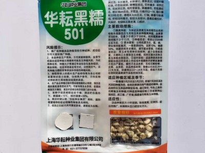 华耘黑糯501黑玉米种子黑糯玉米皮薄糯甜高产粘玉米种籽 春秋播种图5