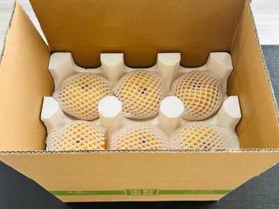 一件代发山东秋月梨礼盒装9斤整箱应季新鲜水果脆甜莱阳梨子图5