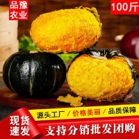 厂家批发正宗山东贝贝南瓜板栗口感粉糯香甜新鲜9斤装 一件代发