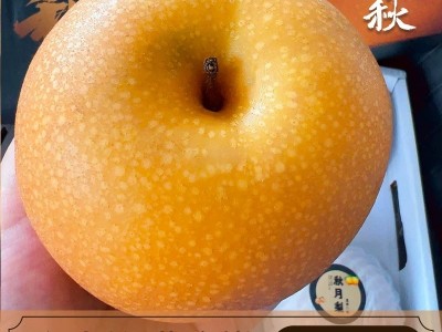 【测试专用】山东秋月梨新鲜图3