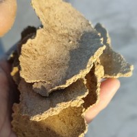 二级菜籽饼有机肥料 批发胡麻饼花生麸饼种植蔬菜水果有机肥肥用