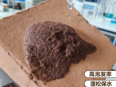 厂家批发大椰砖脱盐粗椰糠砖养花种菜种植营养土通用型大块椰砖图3