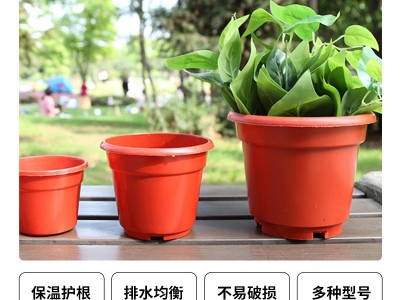 AB系列塑料花盆培育盆反边加厚加仑育苗网底小花盆绿萝多肉种植盆图3