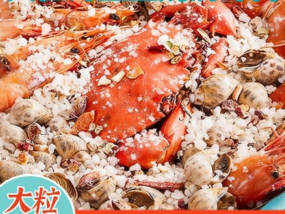 大粒海盐盐焗调味料5斤装家用大桶海鲜海盐大颗粒盐焗调料商用装图4