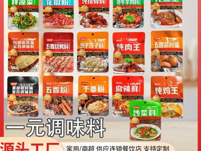 一元调料袋装调料大全夜市小吃街摆摊调味料批发调味料厨房大全图4