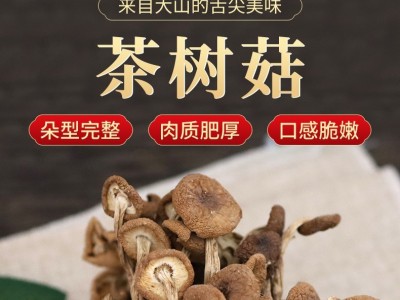 茶树菇 一斤散装当季新货自然晾晒足干油菜菇煲汤干货开伞柳松茸图2