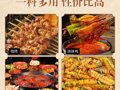 辣椒面中粗细粉微辣中辣特辣烤肉烧烤餐饮调料撒料干碟蘸料辣椒粉图2