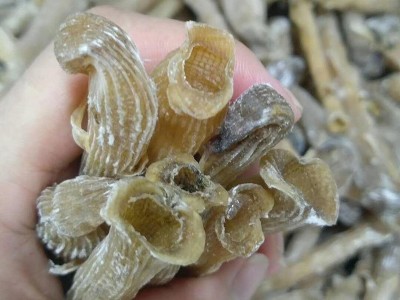 海味干货印尼沙虫干500g沙肠子新鲜沙虫已去沙袋煲汤食材现货批发图3