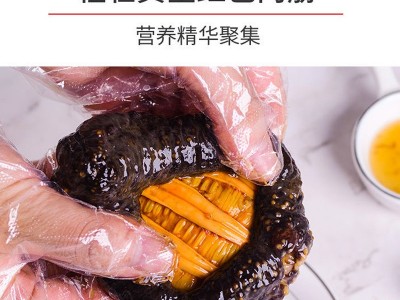 【一件代发】不挂冰北极红参冰岛俄罗斯海参加拿大红极参即食500g图5