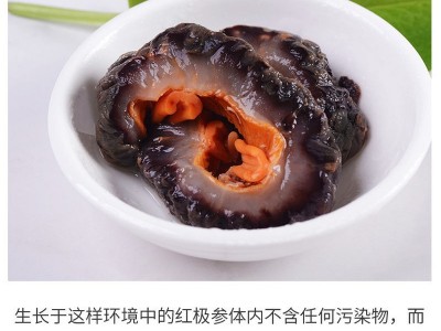 【一件代发】不挂冰北极红参冰岛俄罗斯海参加拿大红极参即食500g图3
