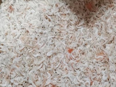 虾皮新鲜咸虾皮 海鲜干货250克虾皮虾米东海特产图2
