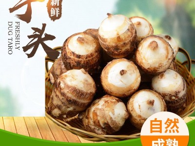 农家自种新鲜毛芋头山东牛奶小芋头现挖芋艿仔当季农家软糯香芋艿图2