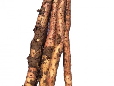 『甄怀山』温县垆土铁棍山药 河南怀山药 粉糯香甜 5斤装图5