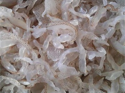 批发海蜇丝珊瑚丝凉拌菜5斤桶装包邮非即食海蜇整桶批发海鲜图5