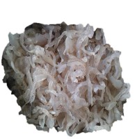 批发海蜇丝珊瑚丝凉拌菜5斤桶装包邮非即食海蜇整桶批发海鲜