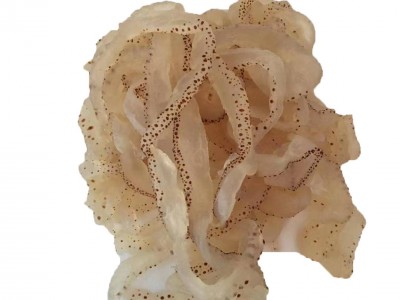 批发海蜇丝珊瑚丝凉拌菜5斤桶装包邮非即食海蜇整桶批发海鲜图2