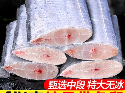 冷冻带鱼段成品批发无冰带鱼段冻品整箱东海小眼带鱼中段新货图4