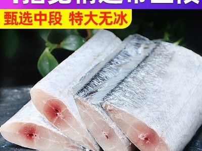 冷冻带鱼段成品批发无冰带鱼段冻品整箱东海小眼带鱼中段新货图2