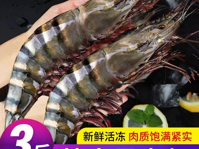 黑虎虾超大新鲜大虾老虎虾鲜活虎虾基围虾特大速冻海鲜斑竹九节虾图5