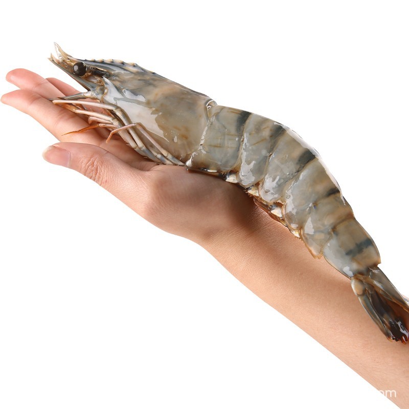 O1CN01FrZLLx1R3Eo7OkLWi_!!2215879062055-0-cib