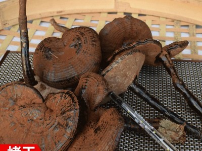农产品500g椴木紫灵芝 不苦带粉长脚黑灵芝 跨境外贸10cm长柄灵芝图4