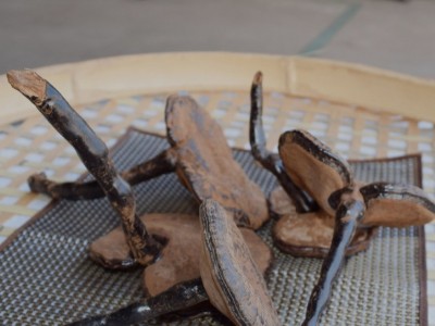 农产品500g椴木紫灵芝 不苦带粉长脚黑灵芝 跨境外贸10cm长柄灵芝图2
