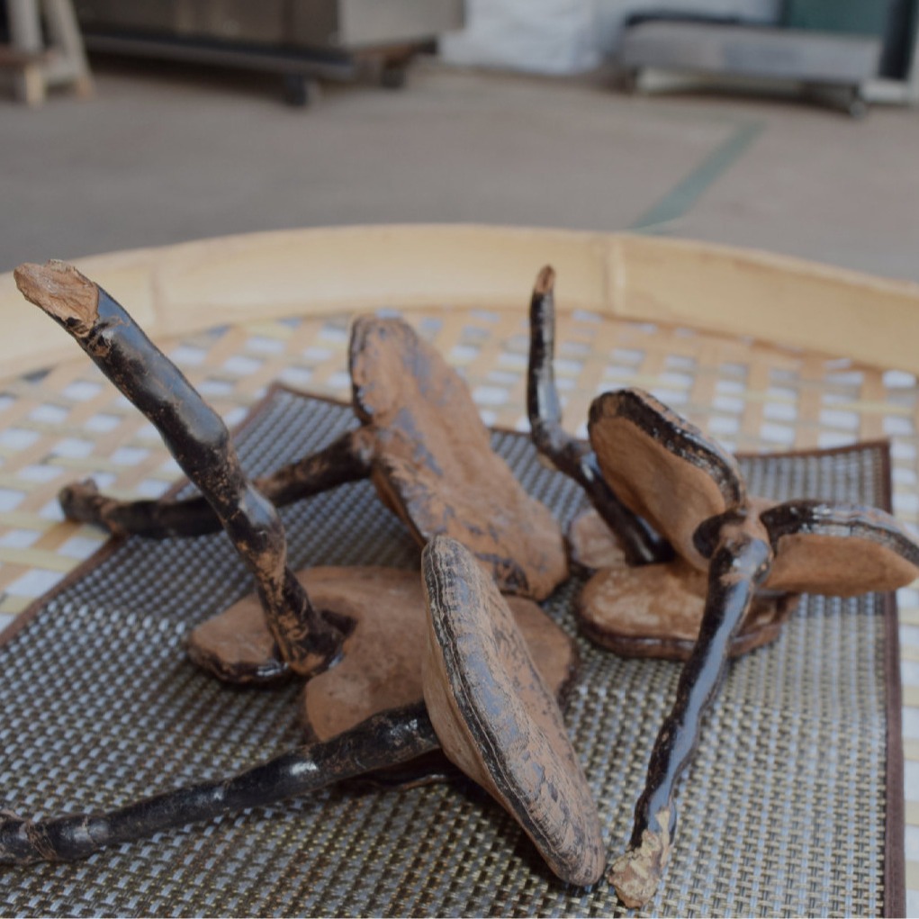 O1CN01y0LtHX1Xb1o4vBHX2_!!948032941-0-cib