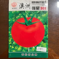 五洲牌澳洲强星301番茄种籽高产四季园林盆栽蔬菜种子电商批发