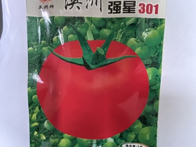 五洲牌澳洲强星301番茄种籽高产四季园林盆栽蔬菜种子电商批发图3