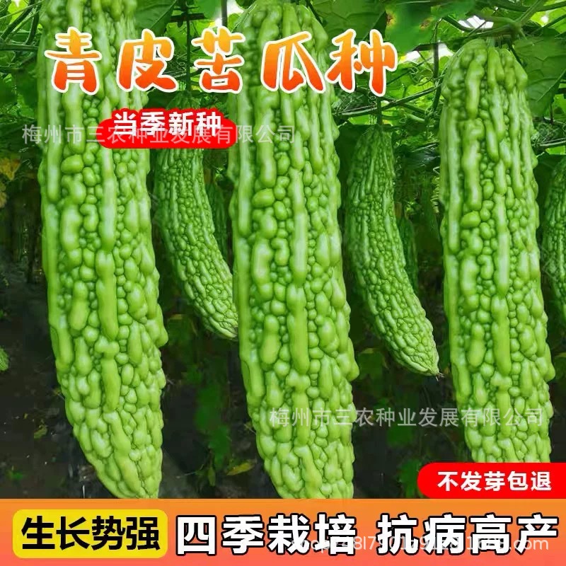 O1CN01eLLcxF2JoOzeaBdFf_!!2218893079468-0-cib