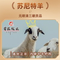 京锡林 内蒙手把肉生鲜羊肉苏尼特羊带骨手把肉切块羊排锡盟羊肉