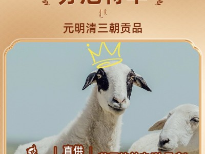 京锡林内蒙苏尼特羊鲜羊肉1斤火锅食材羊肉卷草饲羊烧烤食材羊肉图4