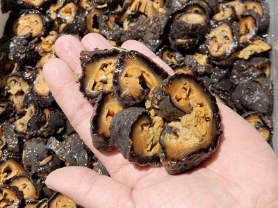 红级参批发 红极参北极红参即食海参水产红极参原货500g 厂家直销图2