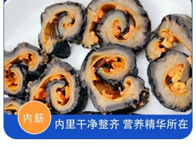 红级参批发 红极参北极红参即食海参水产红极参原货500g 厂家直销图3