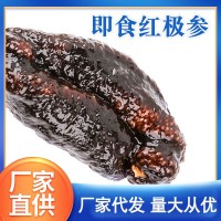 红级参批发 红极参北极红参即食海参水产红极参原货500g 厂家直销
