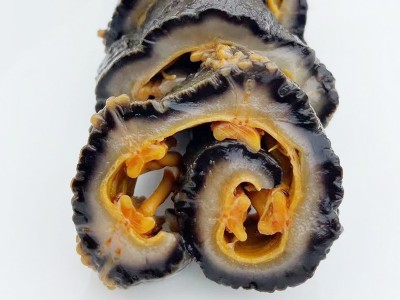 红级参批发 红极参北极红参即食海参水产红极参原货500g 厂家直销图5