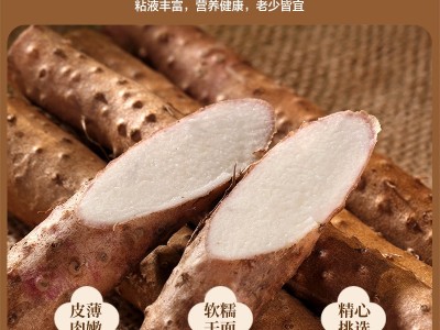 河南焦作正宗铁棍山药新鲜怀山药5斤装铁杆淮山药温县原产地直发图3
