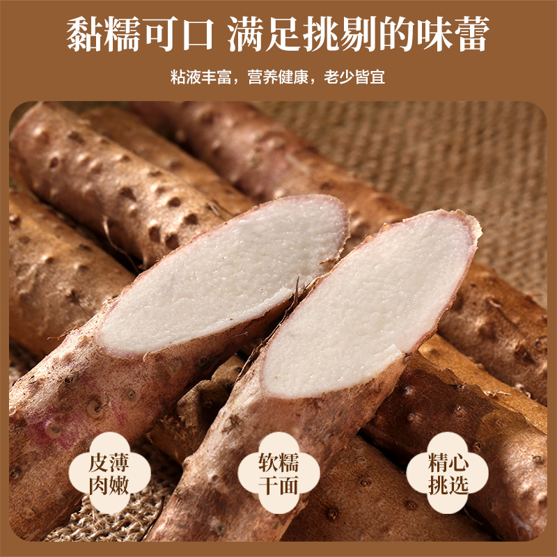 O1CN01NejAKm2LY21LMQXZ8_!!3937219703-0-C2M