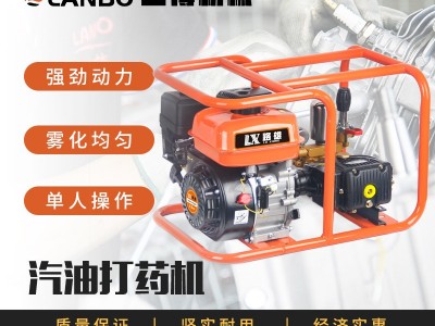 汽油直连打药机26型 30型170F果园蔬菜打药农业机械植保机械图5