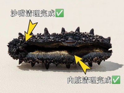 大连淡干海参50g刺参水产干货批发厂家野生辽参礼盒装开口海参图3