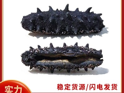 大连淡干海参50g刺参水产干货批发厂家野生辽参礼盒装开口海参图4