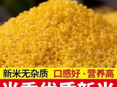 熟小米5斤装香糯小米五谷杂粮粥粗粮小米现货五谷杂粮厂家批发图4