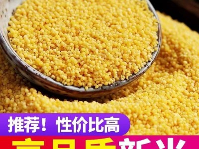 熟小米5斤装香糯小米五谷杂粮粥粗粮小米现货五谷杂粮厂家批发图2