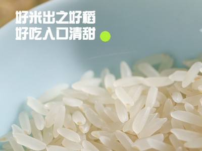 山庄人有机胚芽米代发5斤2025年新米长粒香大米籼米活米定制图3