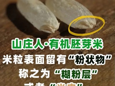山庄人有机胚芽米代发5斤2025年新米长粒香大米籼米活米定制图2