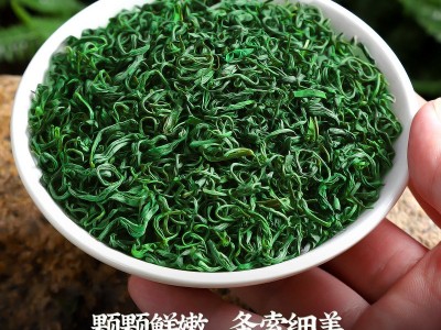 发1.5斤口粮茶2026新茶春茶云雾绿茶茶叶日照足碧螺春散装自己喝图4